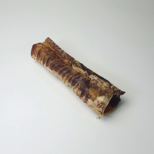 Beef Trachea